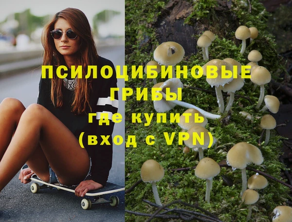 шишки Пестово