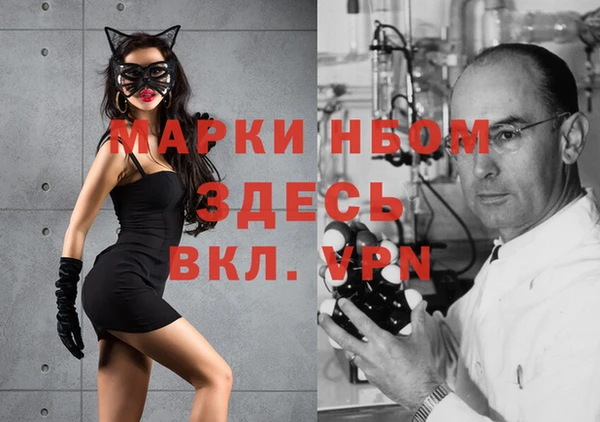 шишки Пестово