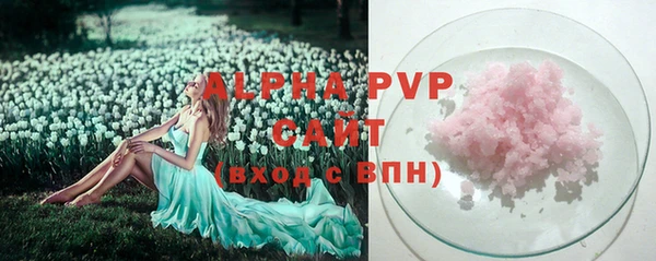 шишки Пестово