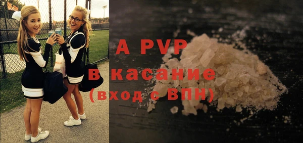 шишки Всеволожск