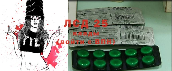 ECSTASY Пересвет