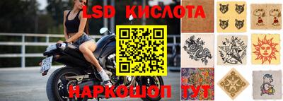 стафф Бийск