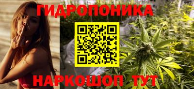 стафф Бийск