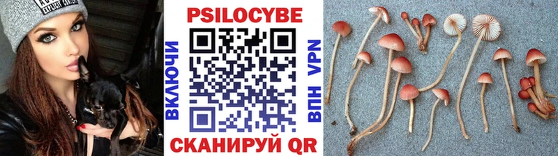 hydra ссылка  Минусинск  Псилоцибиновые грибы ЛСД  купить  цена 