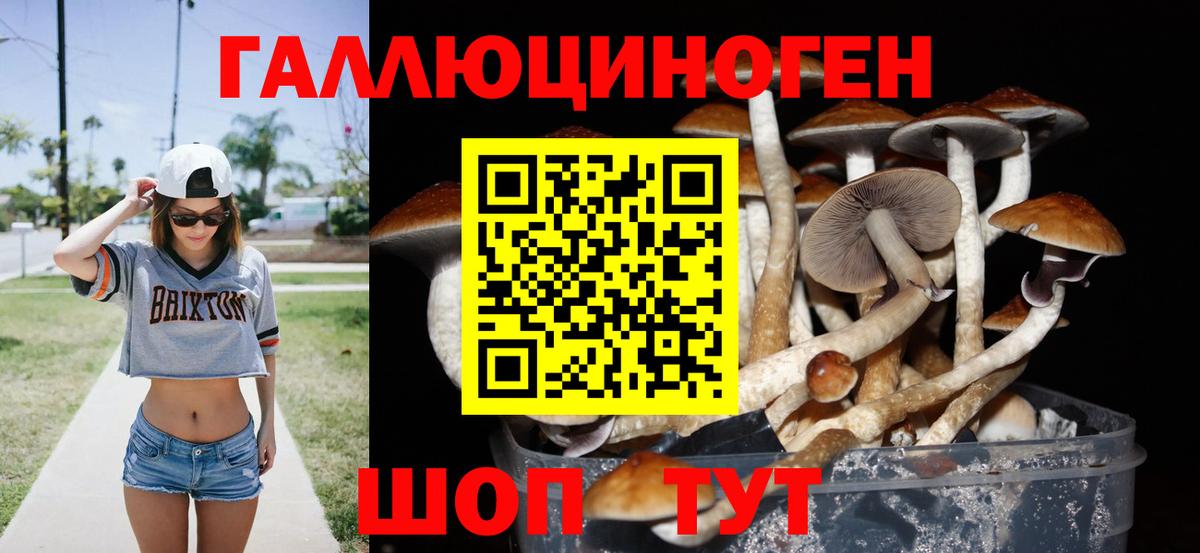 Галлюциногенные грибы мицелий  Минусинск  Галлюциногенные грибы GOLDEN TEACHER 