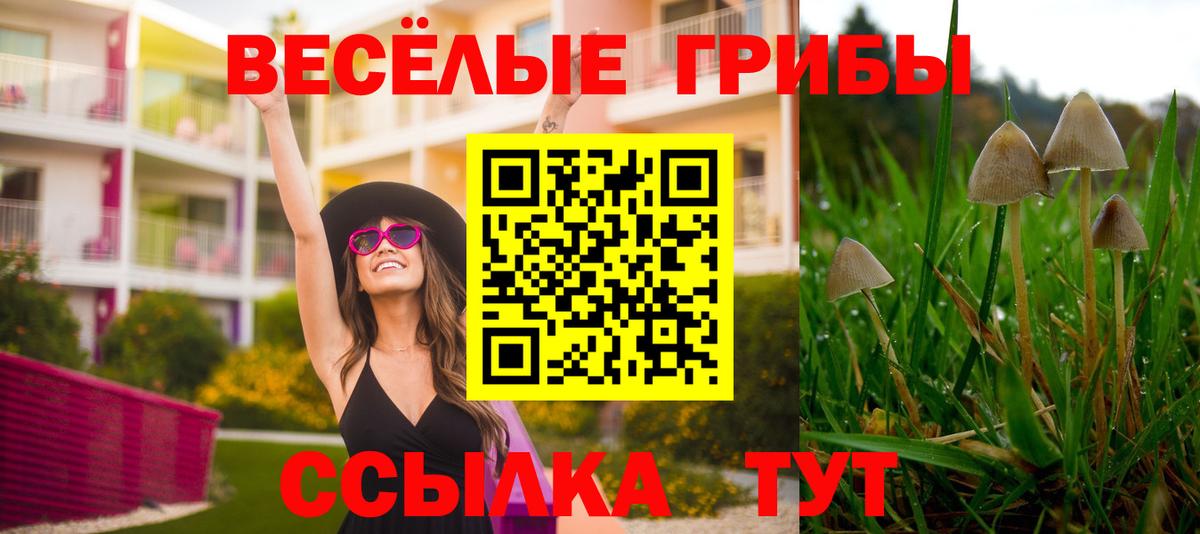 продажа наркотиков  Галлюциногенные грибы GOLDEN TEACHER  Вход с VPN  Минусинск 