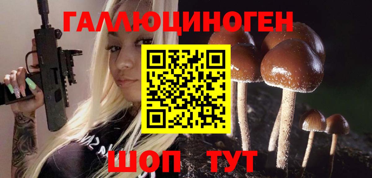 Псилоцибиновые грибы мухоморы Минусинск