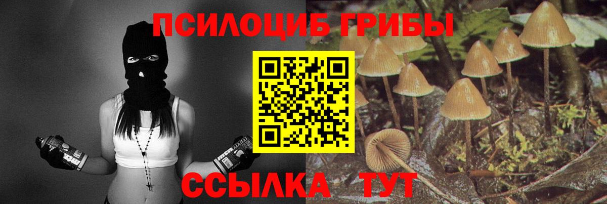 Галлюциногенные грибы мицелий Минусинск